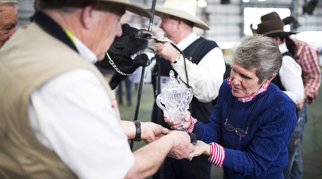 royal melbourne show 1
